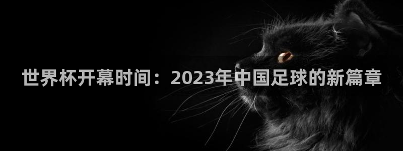 亚洲区世界杯预选赛：世界杯开幕时间：2023年中国足球的新篇章