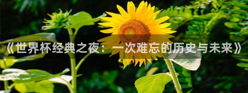 2026世界杯亚洲预选赛：《世界杯经典之夜：一次难忘的历史与未来》