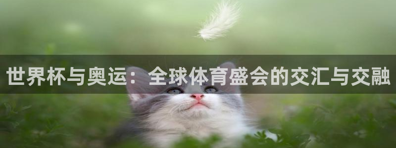 世界杯足球直播：世界杯与奥运：全球体育盛会的交汇与交融