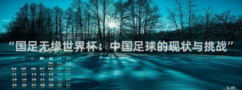 看世界杯：“国足无缘世界杯：中国足球的现状与挑战”