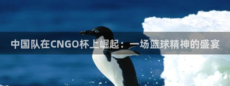 2026世界杯买球:中国队在CNGO杯上崛起:一场篮球精神的盛宴