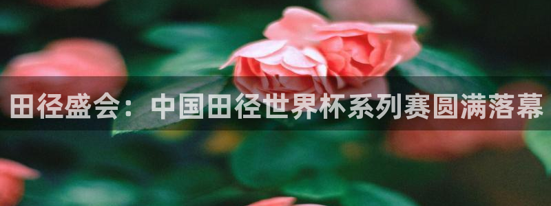 世界杯官网：田径盛会：中国田径世界杯系列赛圆满落幕