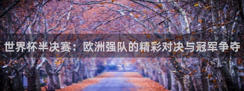 世界杯预选赛排名：世界杯半决赛：欧洲强队的精彩对决与冠军争夺