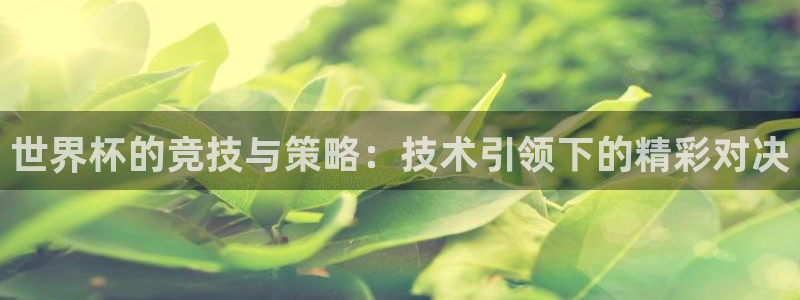 世界杯预选赛欧洲：世界杯的竞技与策略：技术引领下的精彩对决