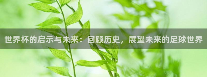 2026世界杯足球赛程时间表：世界杯的启示与未来：回顾历史，展望未来的足球世界