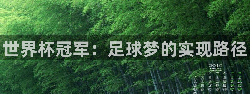 2026世预赛全部赛程：世界杯冠军：足球梦的实现路径