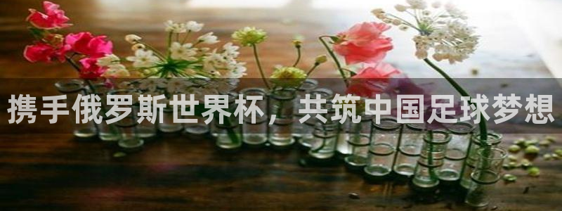 2026世预赛赛程表：携手俄罗斯世界杯，共筑中国足球梦想