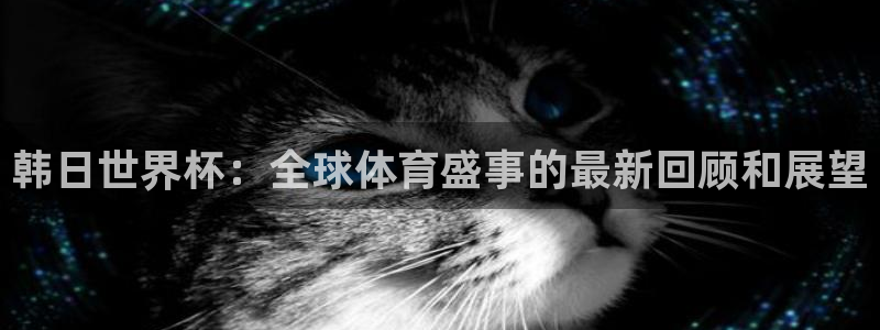 2026足球世界杯赛程：韩日世界杯：全球体育盛事的最新回顾和展望