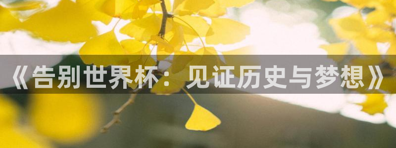 2026世界杯中国队：《告别世界杯：见证历史与梦想》